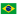 Brazil national football team