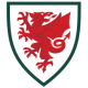 Wales national football team